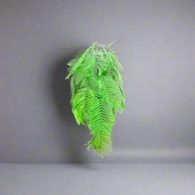 Zanzibari palmfern decorative home ornament
