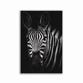 Zebra framed mural artwork