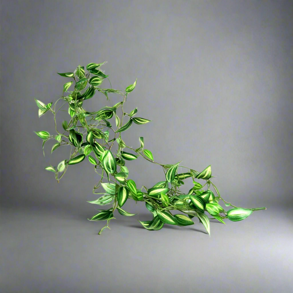 Zebrina Vine decorative home ornament